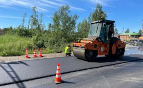 Асфальт с ароматом клубники уложили у садоводства во Всеволожском районе