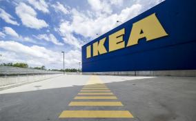 С фабрики IKEA в Тихвине хотят уволить 500 работников