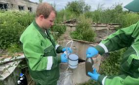 Жители деревни Красноозерное пожаловались на сброс сточных вод в Красное озеро