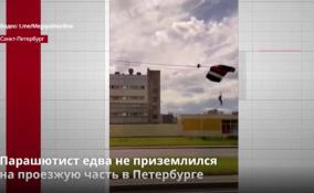 Парашютист едва не приземлился
на проезжую часть в Петербурге