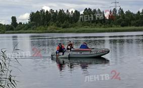 В карьере в Гатчинском районе утонул мужчина