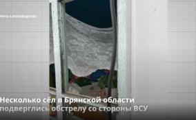 Несколько сёл в Брянской области
подверглись обстрелу со стороны ВСУ