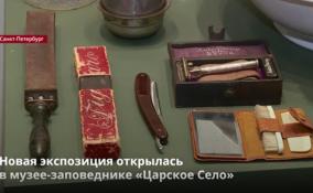 Новая экспозиция открылась
в музее-заповеднике «Царское Село»