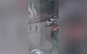 В сеть попало видео массовой драки на ножах и битах в Петербурге