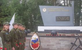 В Гатчинском районе нашли пять смертных медальонов солдат, павших в годы войны