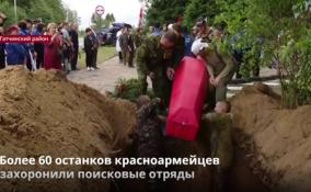 В Ленобласти более 60 останков красноармейцев захоронили поисковые
отряды