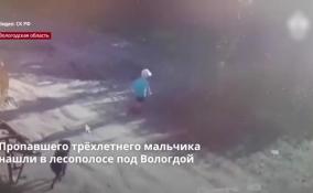 Пропавшего трёхлетнего мальчика нашли в лесополосе под Вологдой