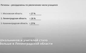 Школьников и учителей стало больше в Ленинградской области