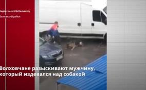 Волховчане разыскивают мужчину, который издевался над собакой