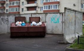 В Гатчинском районе многодетная мать родила мёртвую девочку и выкинула её в мусорку