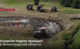 Аграрная неделя развернулась в посёлке Свердлово