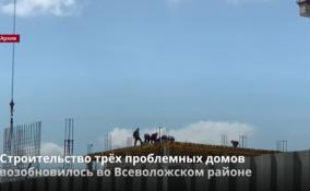 Строительство трех проблемных домов возобновилось во
Всеволожском районе