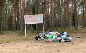 На природной территории «Болото Озёрное» в Ленобласти ликвидировали мусорную свалку