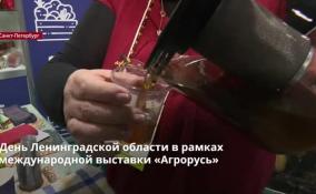 День Ленобласти в рамках
международной выставки «Агрорусь»