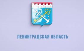 Анна Данилюк обратилась к участницам Ленинградского областного женского форума