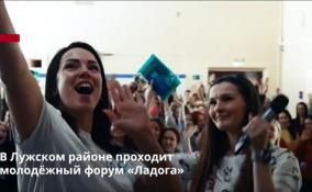 В Лужском районе проходит
молодёжный форум «Ладога»