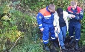 В лесу в поселке Отрадное женщина провалилась в канаву и не могла выбраться