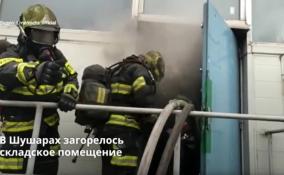 В Шушарах загорелось
складское помещение