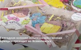 Ежегодная осенняя сельскохозяйственная ярмарка прошла во
Всеволожске