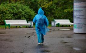 Похолодания в первую неделю октября в Петербурге не ожидается