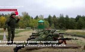 Боевые учения в рамках частичной мобилизации проходят в
Ленобласти