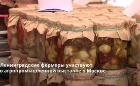 Ленинградские фермеры участвуют
в агропромышленной выставке в Москве