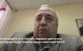 Клинцевич: это только первые цветочки,
которые будут иметь представители НАТО