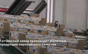 Гатчинский завод производит молочную
продукцию европейского качества