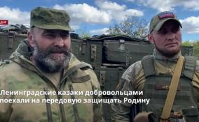 Ленинградские казаки добровольцами
поехали на передовую защищать Родину