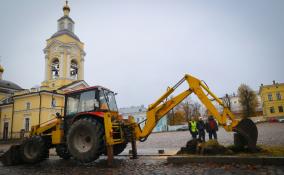 Вдоль Соборной площади в Выборге высадят 16 саженцев лип