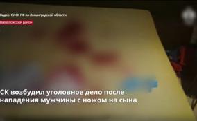 Следственный комитет возбудил уголовное дело после нападения
мужчины с ножом на 9-летнего сына