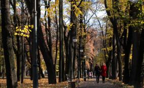 Жителей Петербурга в четверг ждет пасмурная и дождливая погода