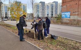 В День народного единства в Выборге дополнили Аллею Победы новыми деревьями