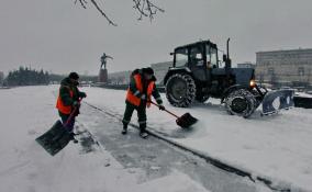 В Петербурге на одну вакансию дворника приходится пять резюме