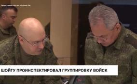 Шойгу проинспектировал группировку российских войск