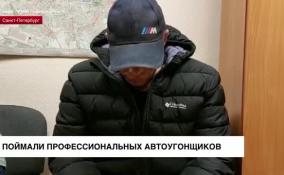 Профессиональных автоугонщиков поймали в Ленобласти