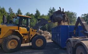 После вмешательства Россельхознадзора во Всеволожском районе ликвидировали свалку