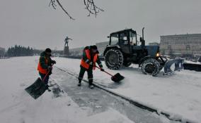 За ночь в Петербурге выпало 15% от месяной нормы осадков