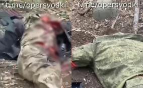 В Сети появилось новое видео расправы ВСУ над безоружными российскими бойцами