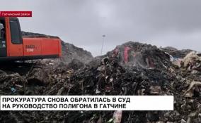 Прокуратура вновь обратилась в суд на полигон «Новый свет-ЭКО»