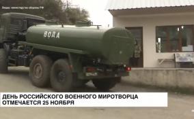 День российского военного миротворца отмечается 25 ноября