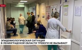 Пока опасений нет: эпидемиологическую ситуацию обсудили в Ленобласти