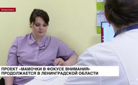 В Ленобласти продолжает работу проект «Мамочки в фокусе внимания»