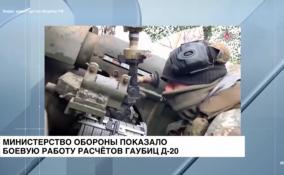 Минобороны показало боевую работу расчетов гаубиц Д-20